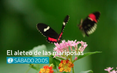 Un documental Cántabro sobre la ELA en la 2 de RTVE